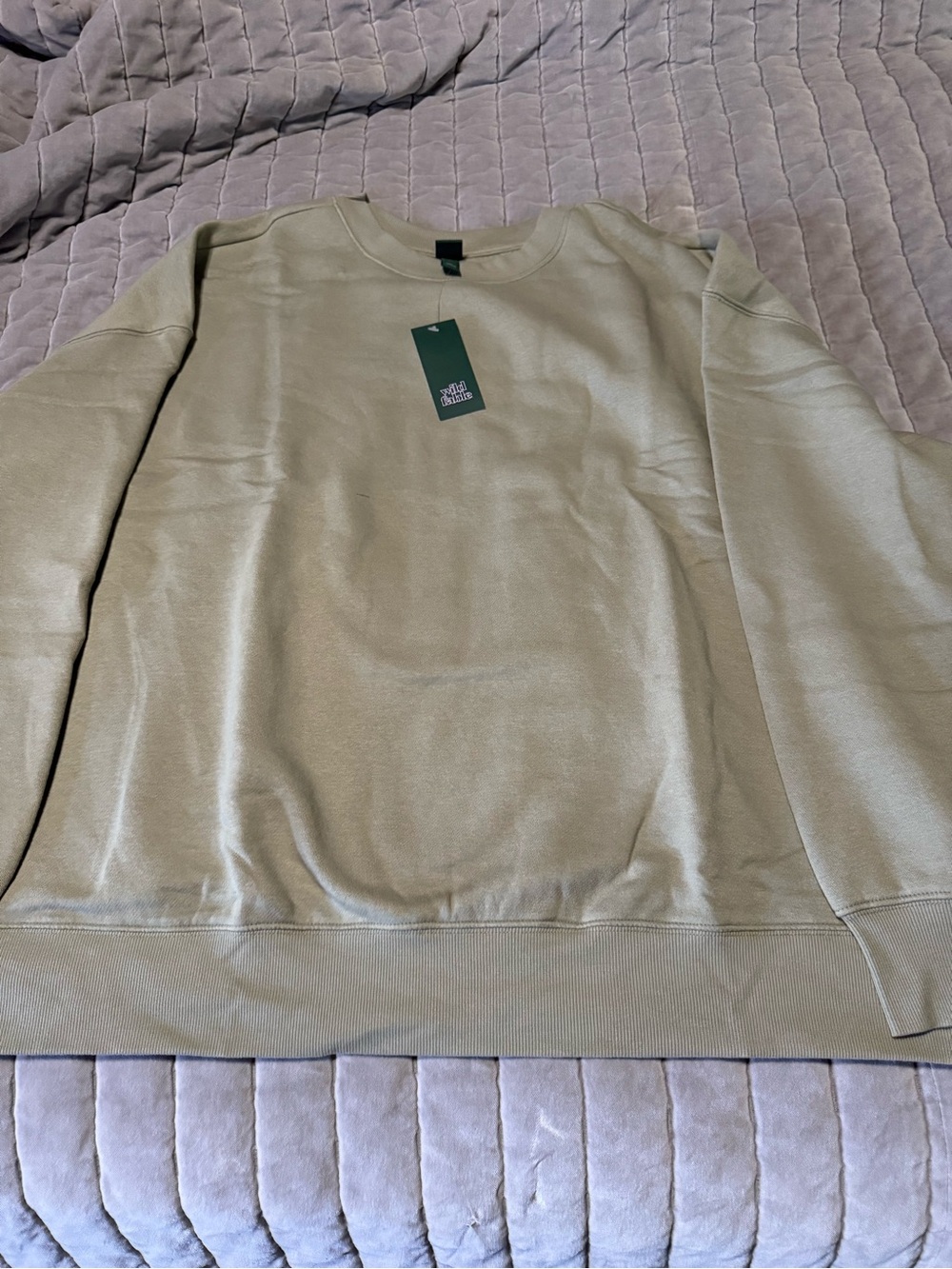 wild fable Crewneck Sweatshirt - Light Olive Green